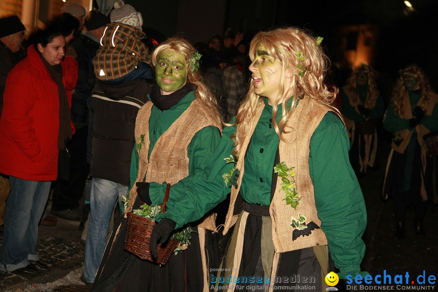 Nachtumzug - Weissenau bei Ravensburg, 16.01.2010