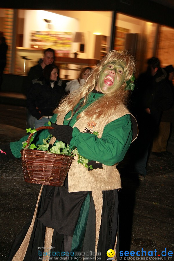 Nachtumzug - Weissenau bei Ravensburg, 16.01.2010