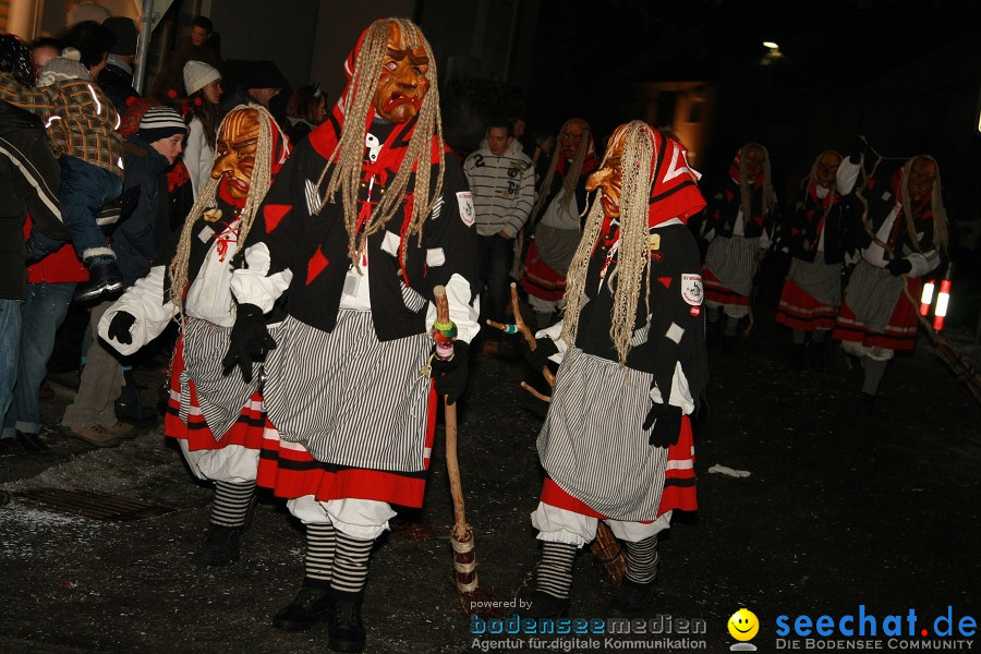 Nachtumzug - Weissenau bei Ravensburg, 16.01.2010