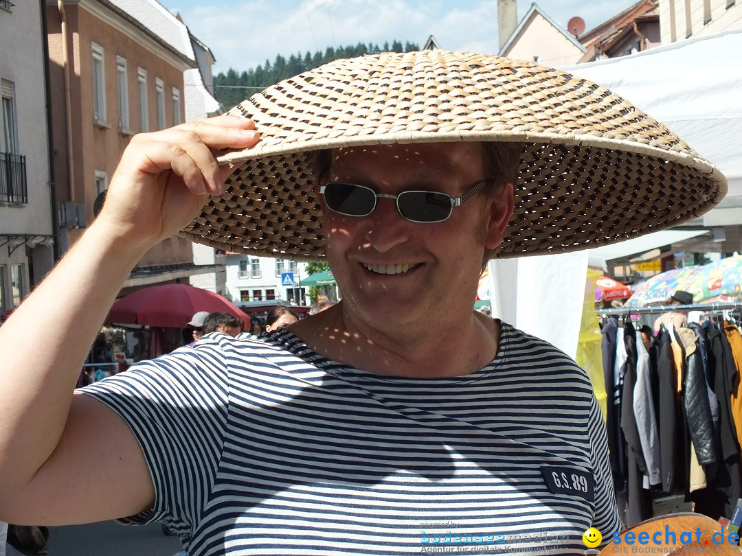 Flohmarkt in Sigmaringen am Bodensee, 27.08.2016