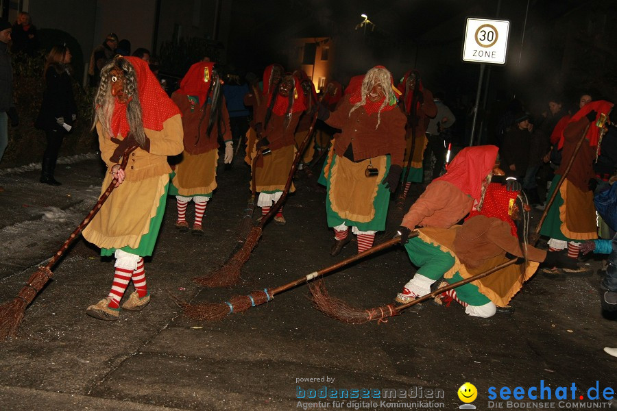 Nachtumzug - Weissenau bei Ravensburg, 16.01.2010