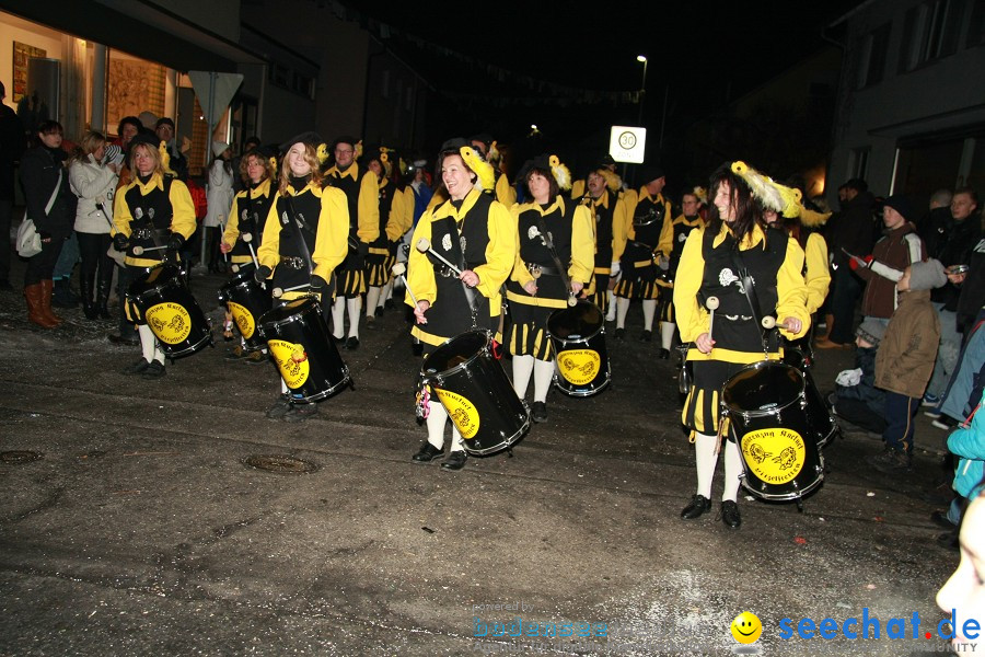 Nachtumzug - Weissenau bei Ravensburg, 16.01.2010