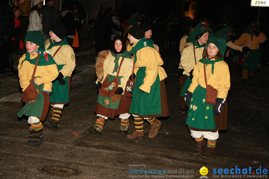 Nachtumzug - Weissenau bei Ravensburg, 16.01.2010