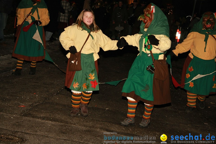 Nachtumzug - Weissenau bei Ravensburg, 16.01.2010