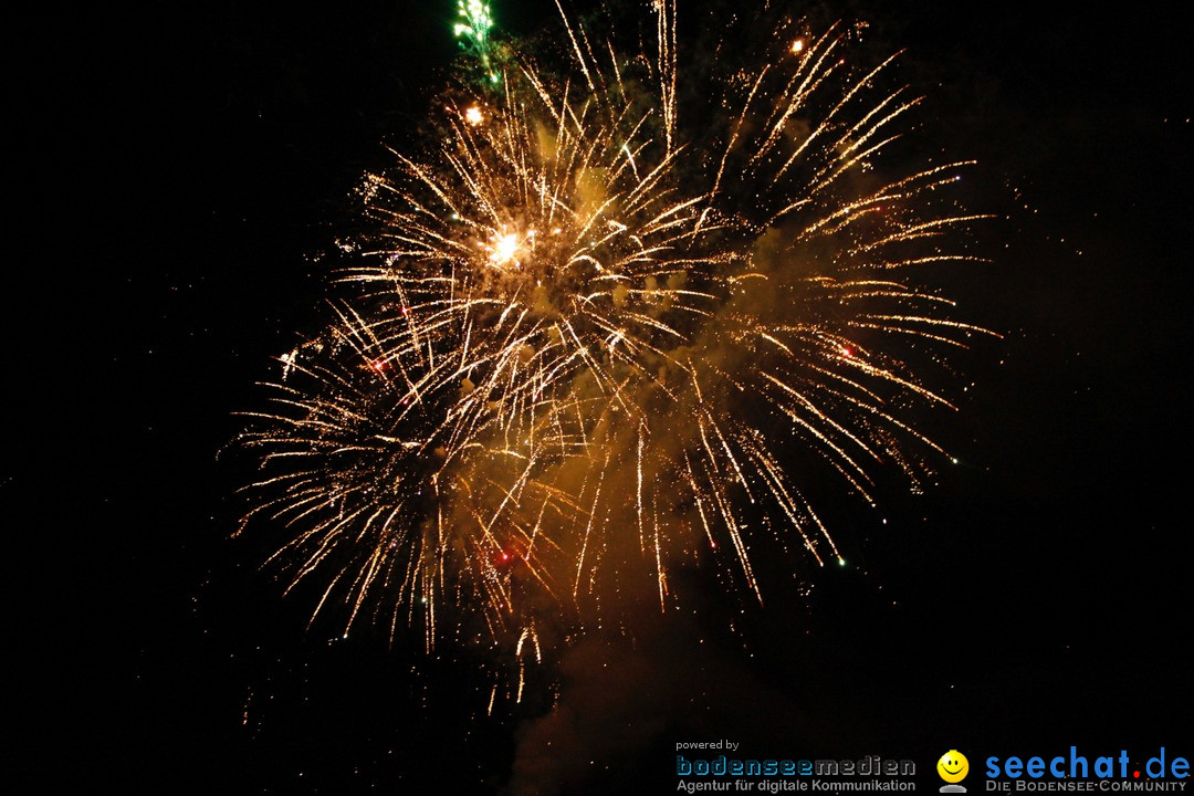 Hafenfest mit Feuerwerk: Bregenz am Bodensee, 27.08.2016