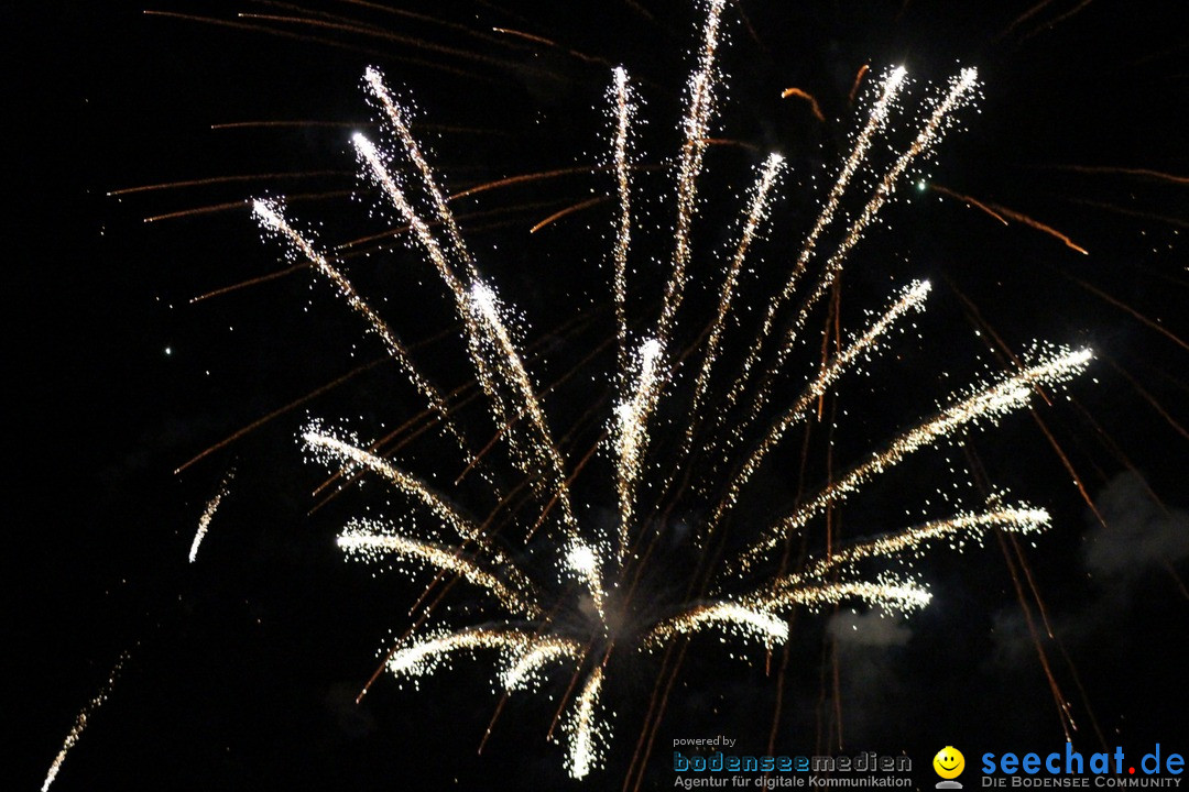 Hafenfest mit Feuerwerk: Bregenz am Bodensee, 27.08.2016