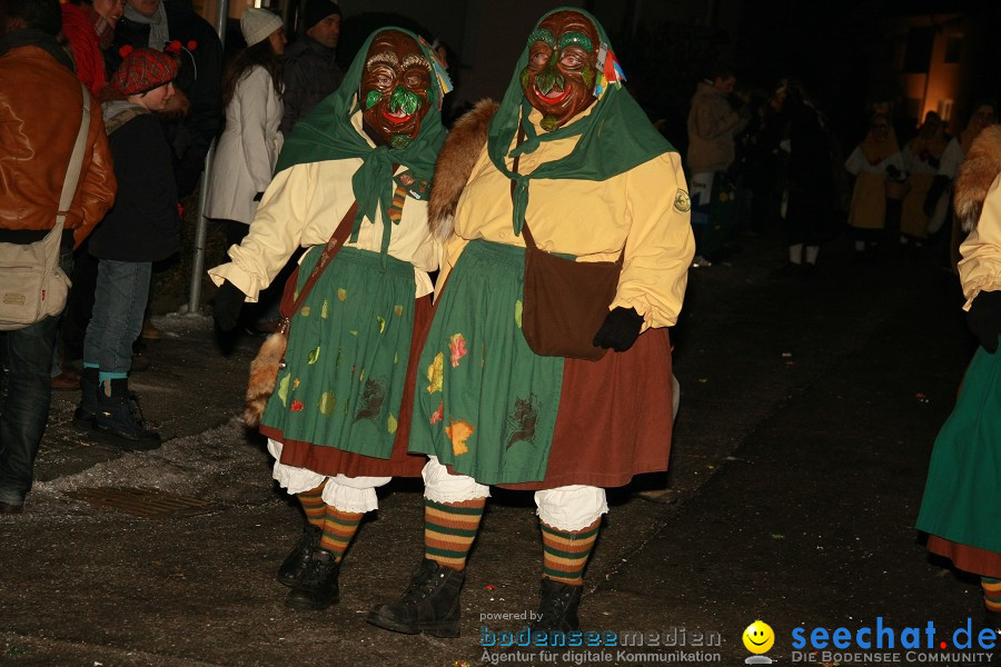 Nachtumzug - Weissenau bei Ravensburg, 16.01.2010