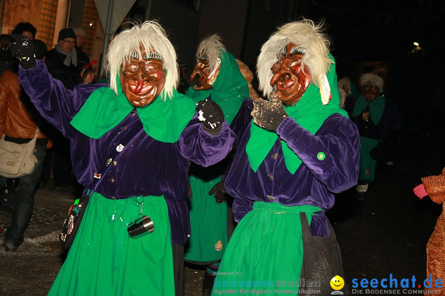 Nachtumzug - Weissenau bei Ravensburg, 16.01.2010