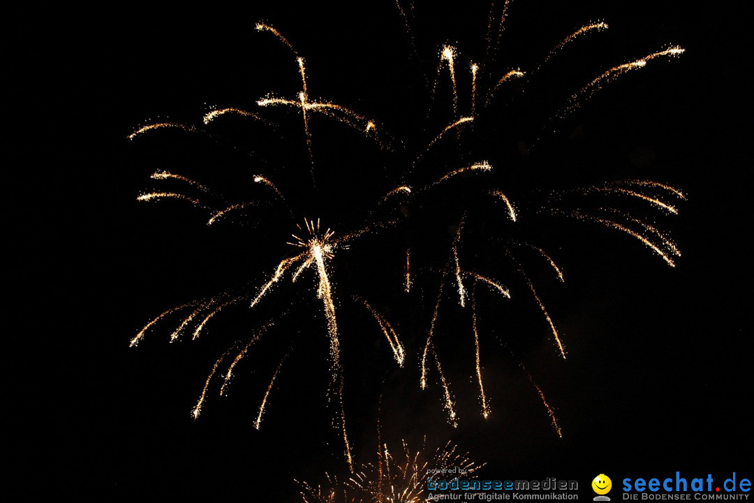 Hafenfest mit Feuerwerk: Bregenz am Bodensee, 27.08.2016