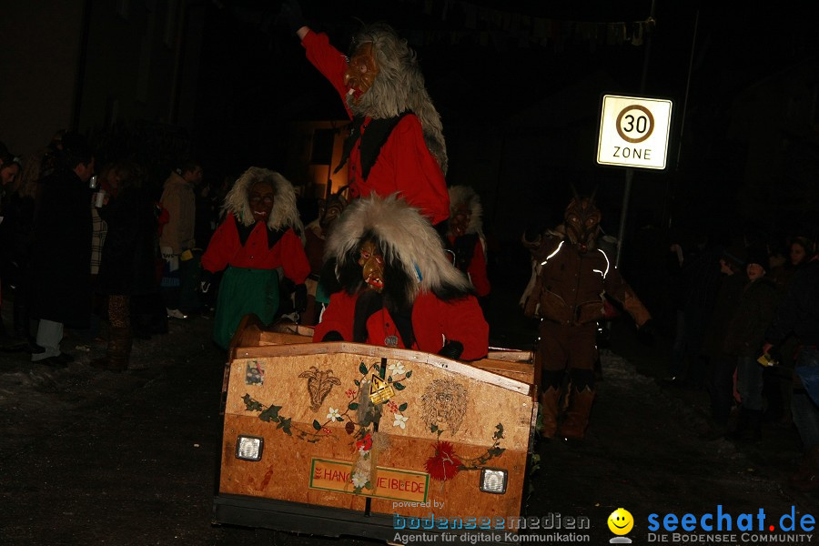 Nachtumzug - Weissenau bei Ravensburg, 16.01.2010