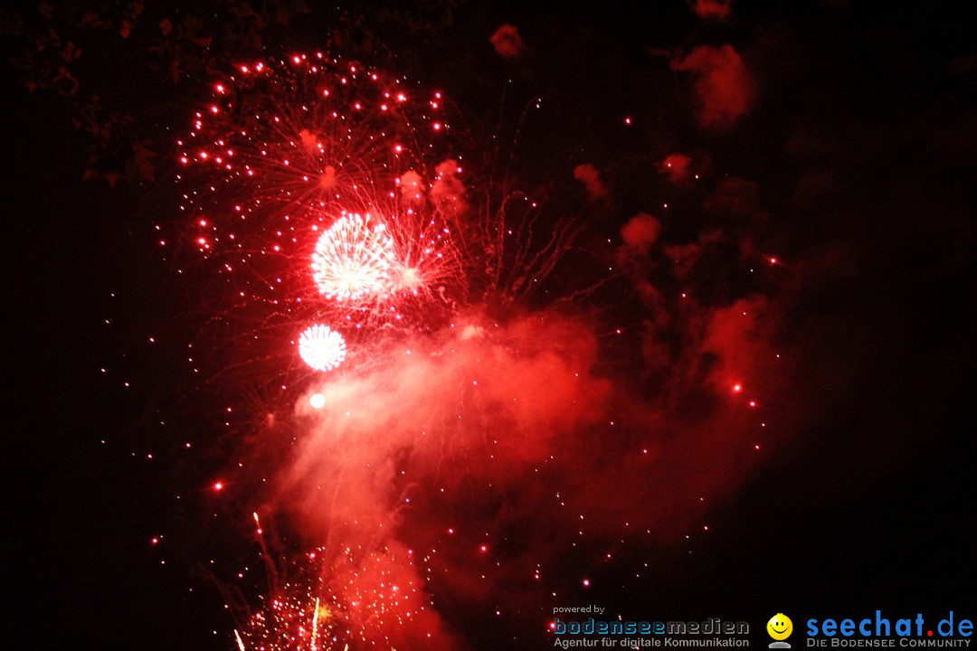 Hafenfest mit Feuerwerk: Bregenz am Bodensee, 27.08.2016