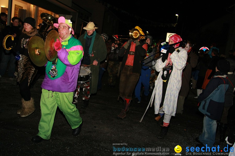 Nachtumzug - Weissenau bei Ravensburg, 16.01.2010