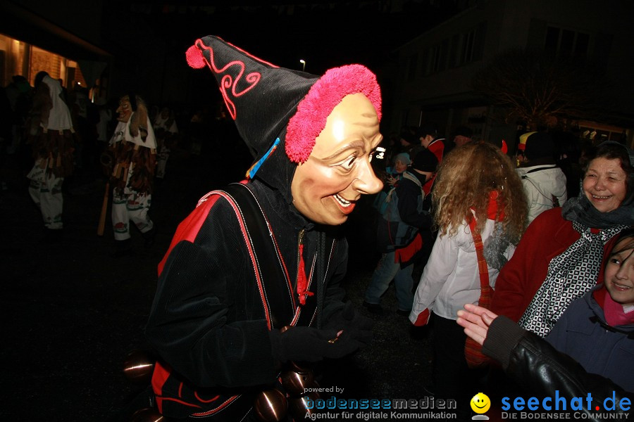 Nachtumzug - Weissenau bei Ravensburg, 16.01.2010