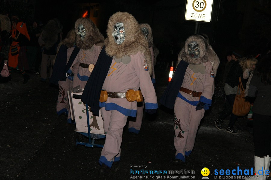 Nachtumzug - Weissenau bei Ravensburg, 16.01.2010