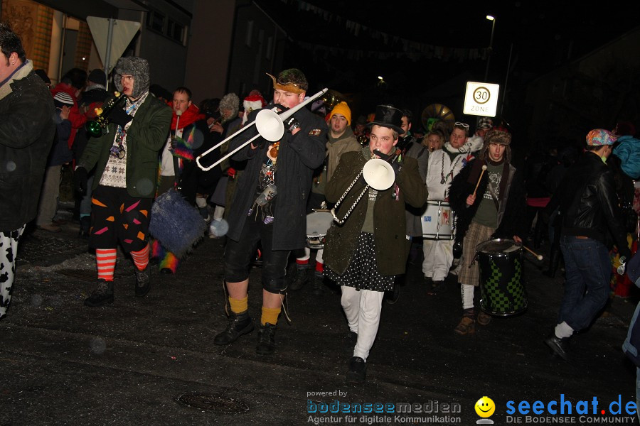 Nachtumzug - Weissenau bei Ravensburg, 16.01.2010