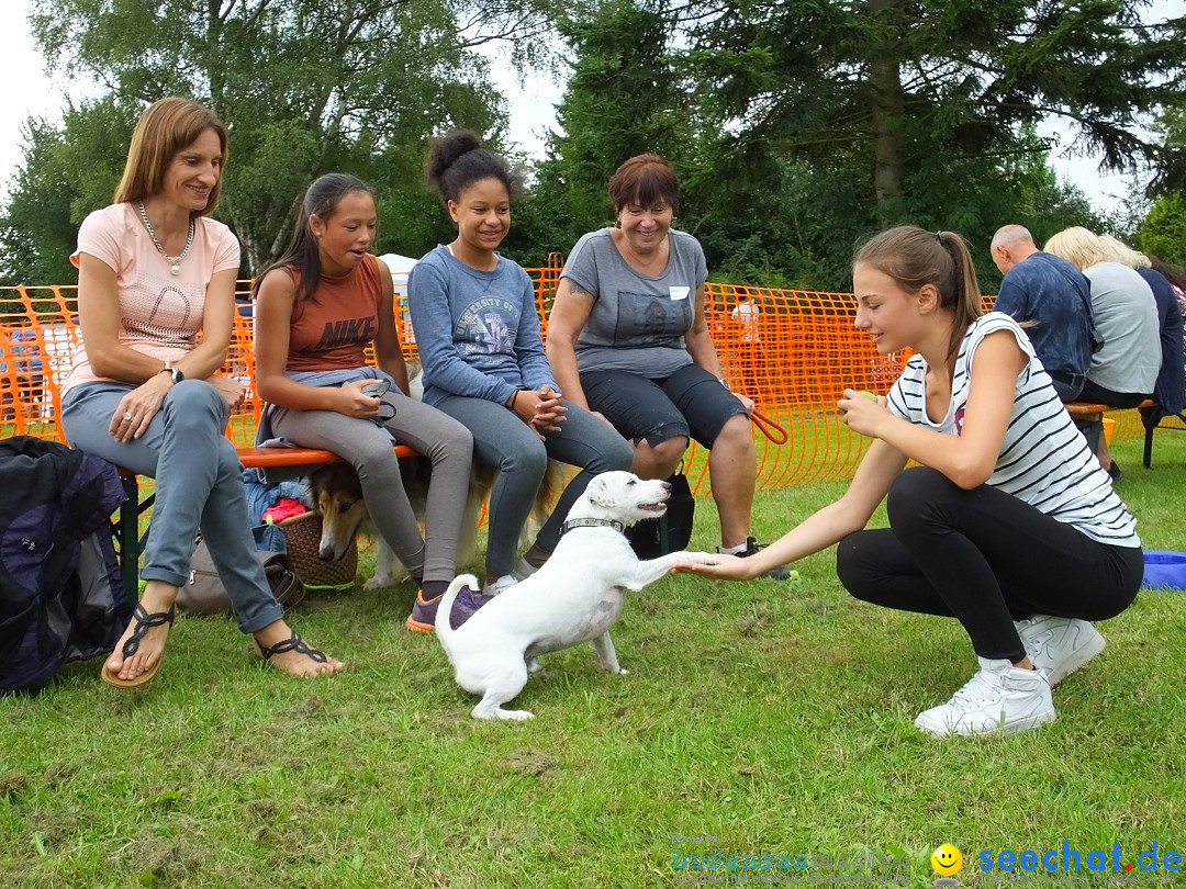 Struppirennen im Tierschutzverein: Bad-Saulgau, 04.09.2016