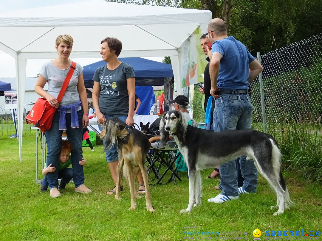 Struppirennen im Tierschutzverein: Bad-Saulgau, 04.09.2016