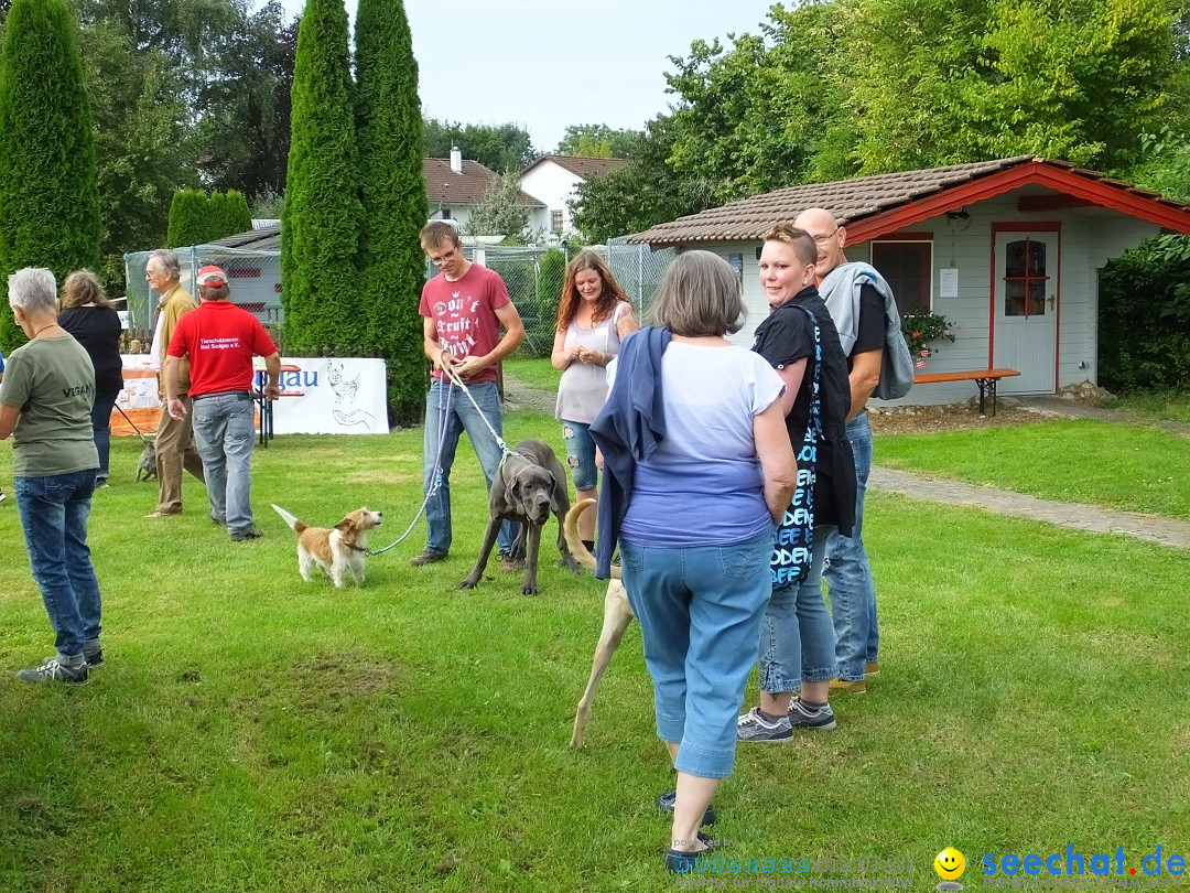 Struppirennen im Tierschutzverein: Bad-Saulgau, 04.09.2016