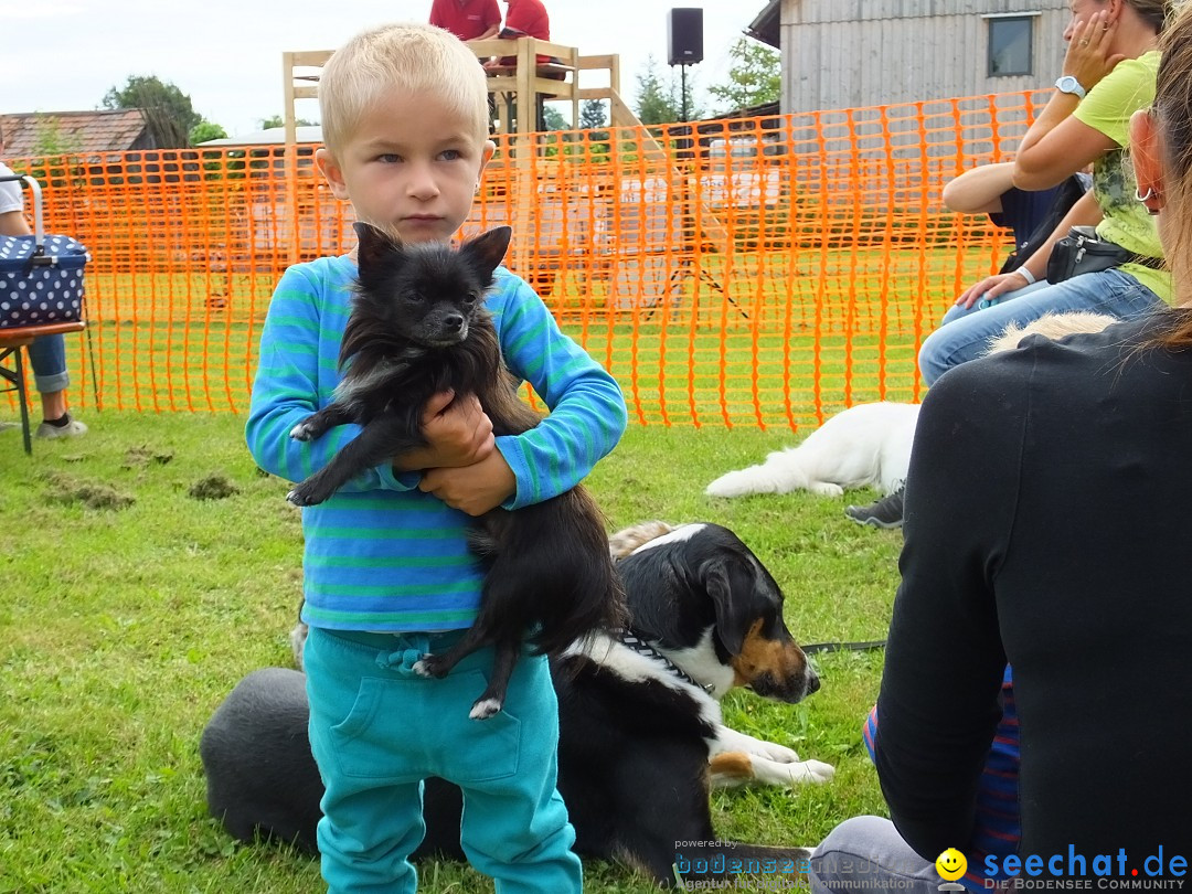 Struppirennen im Tierschutzverein: Bad-Saulgau, 04.09.2016