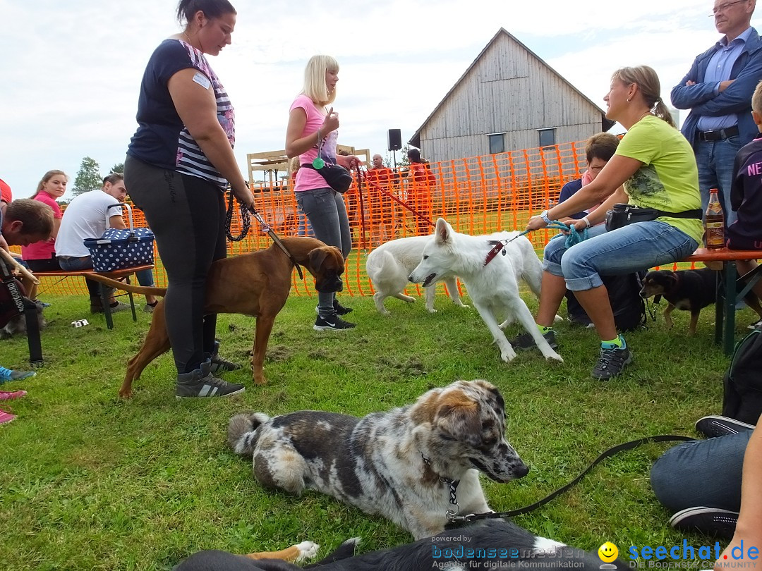 Struppirennen im Tierschutzverein: Bad-Saulgau, 04.09.2016