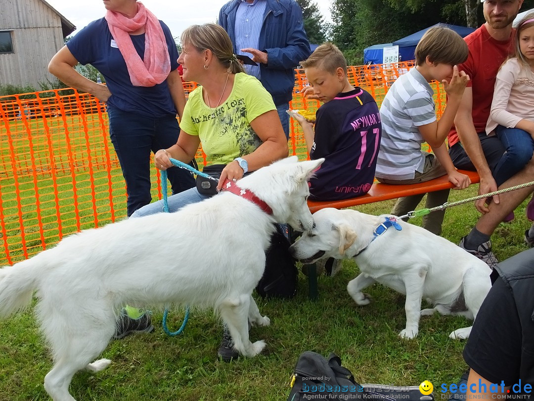 Struppirennen im Tierschutzverein: Bad-Saulgau, 04.09.2016