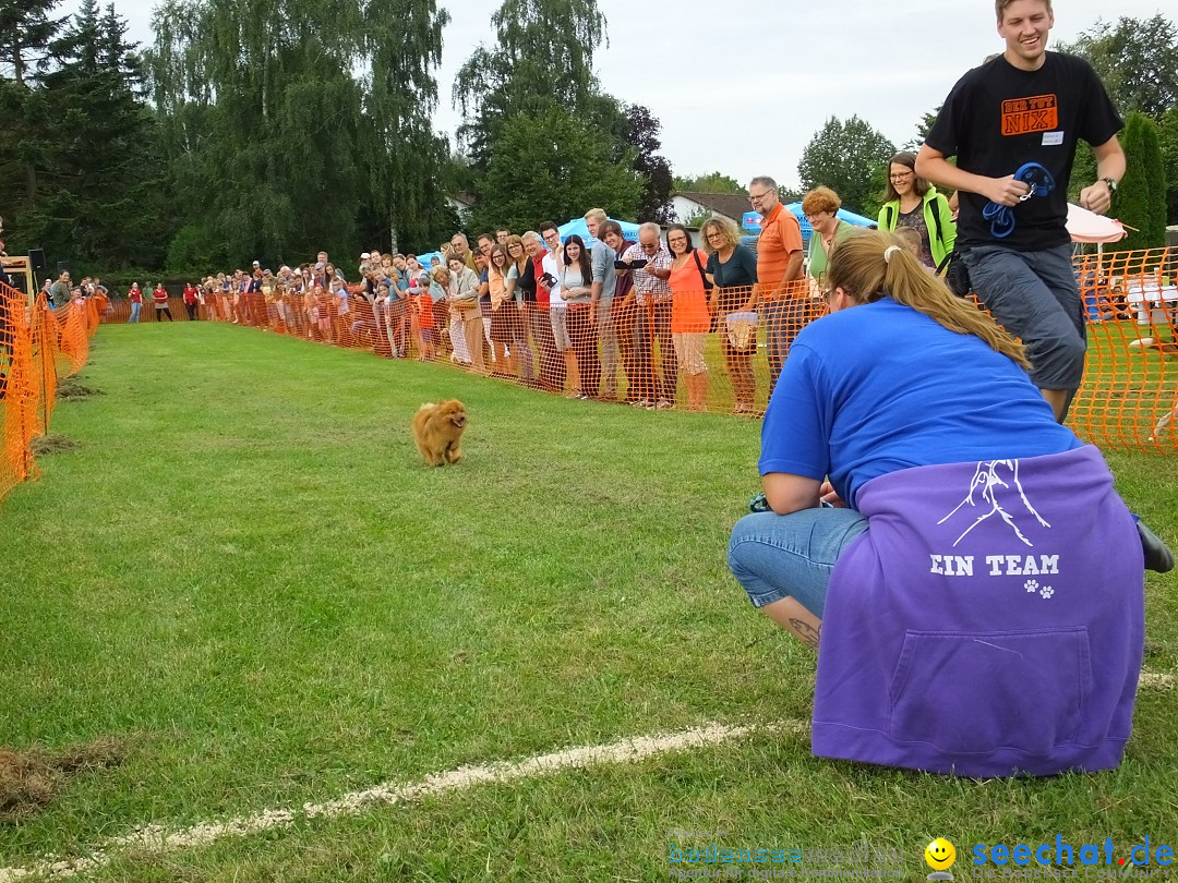 Struppirennen im Tierschutzverein: Bad-Saulgau, 04.09.2016