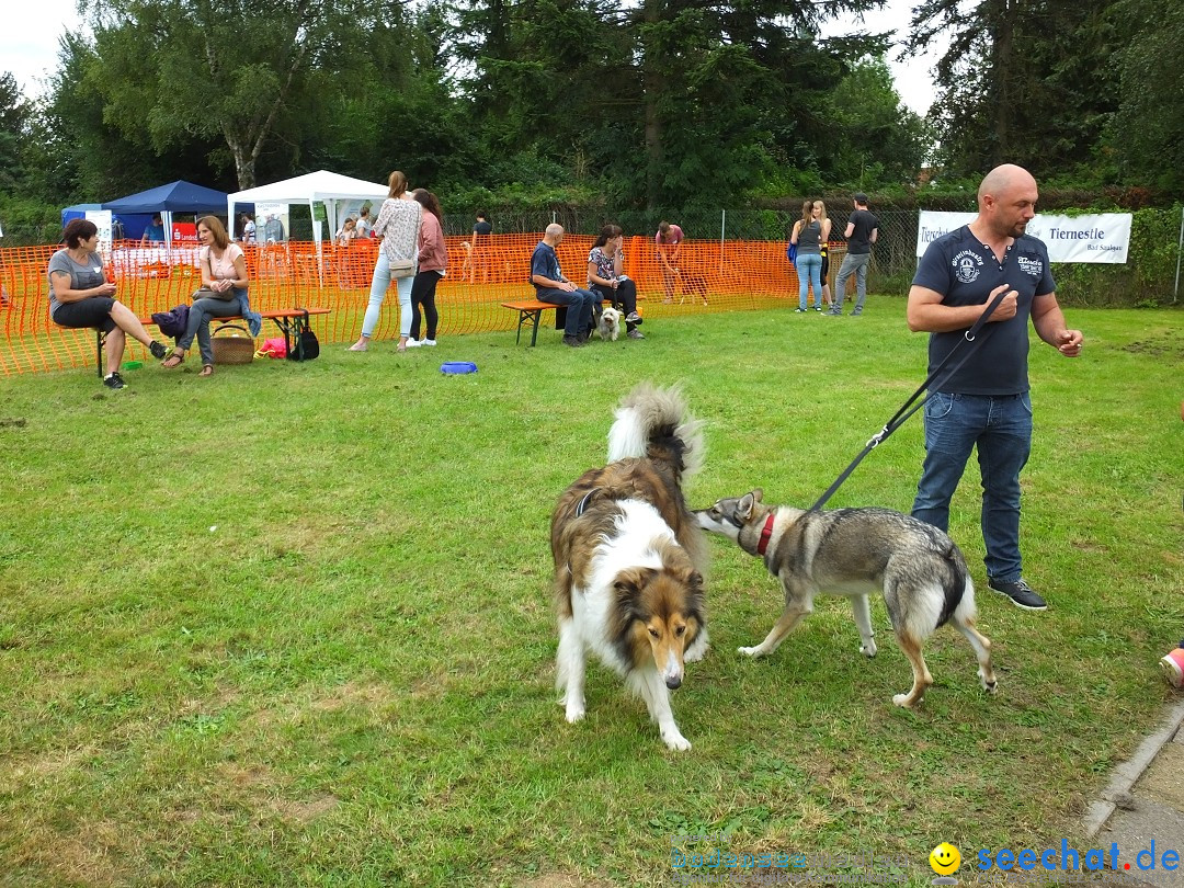 Struppirennen im Tierschutzverein: Bad-Saulgau, 04.09.2016