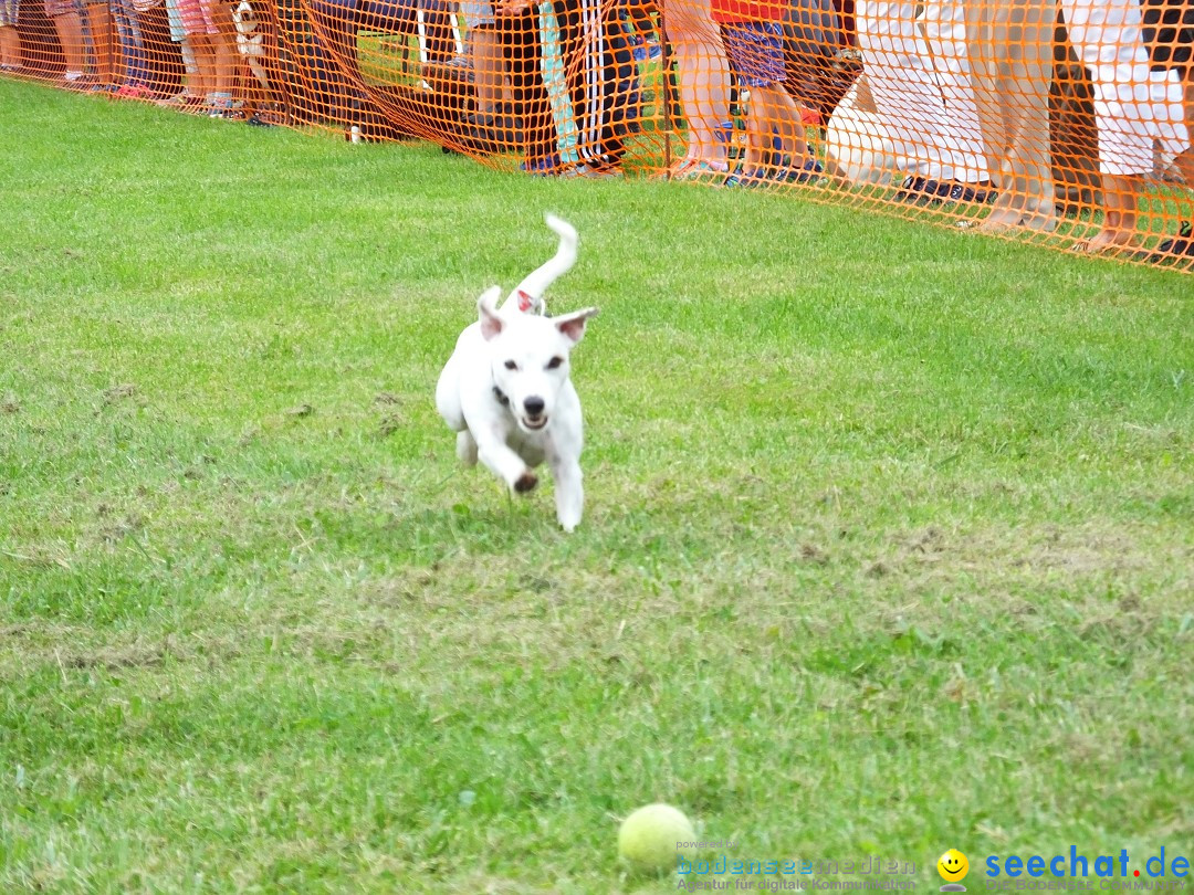 Struppirennen im Tierschutzverein: Bad-Saulgau, 04.09.2016