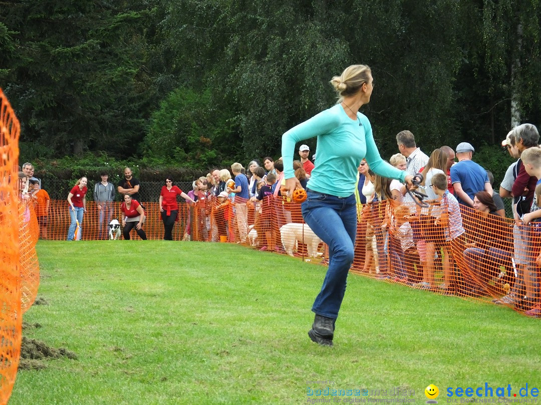 Struppirennen im Tierschutzverein: Bad-Saulgau, 04.09.2016