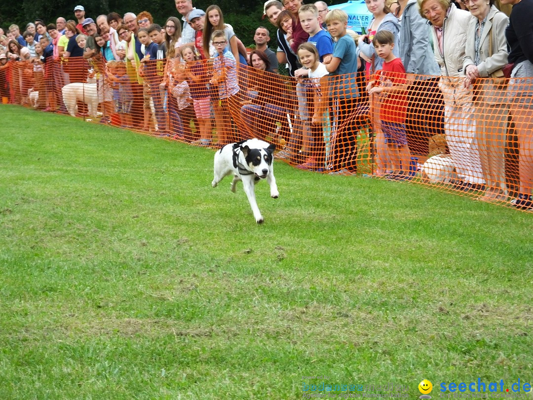 Struppirennen im Tierschutzverein: Bad-Saulgau, 04.09.2016