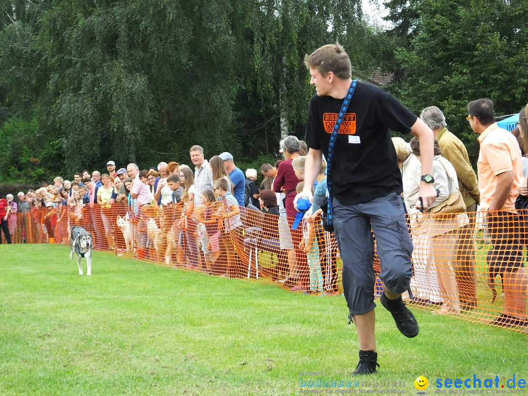 Struppirennen im Tierschutzverein: Bad-Saulgau, 04.09.2016