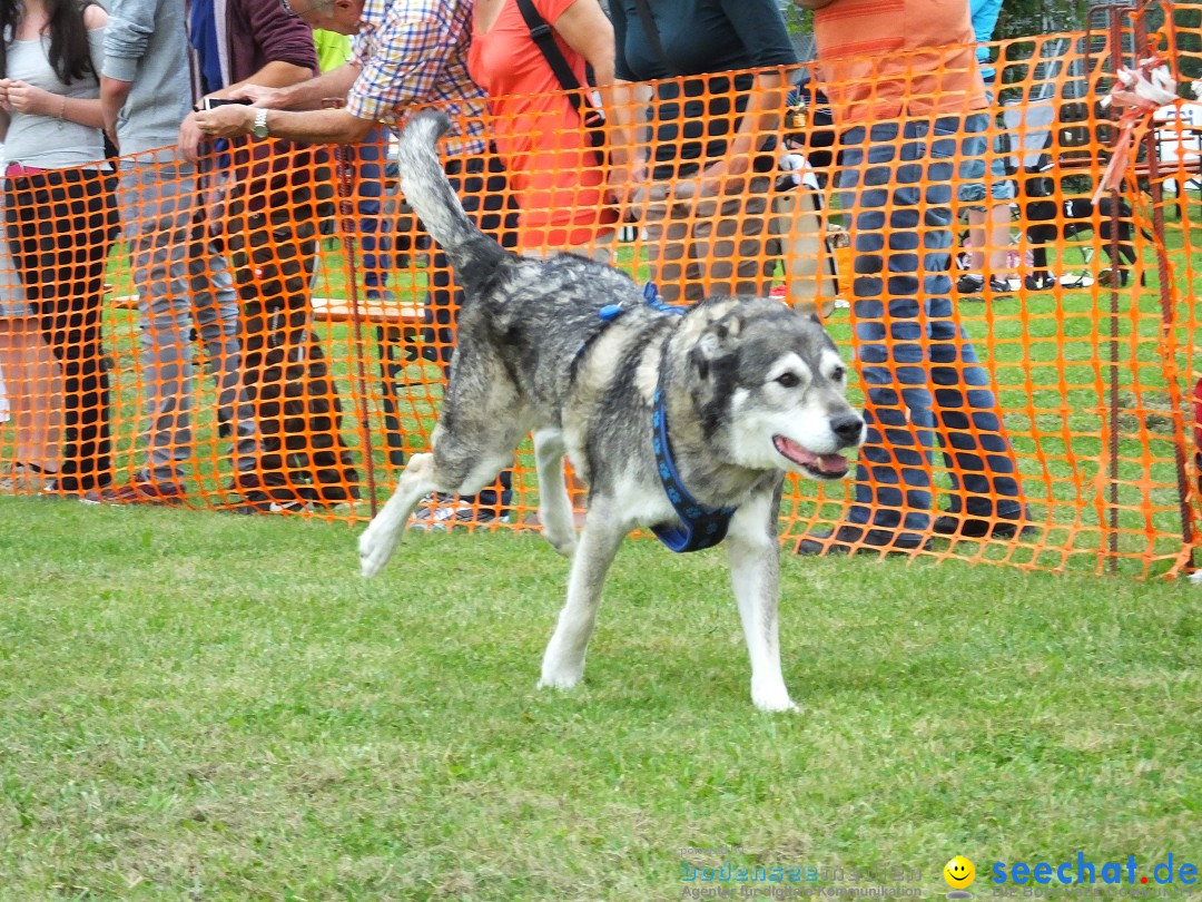 Struppirennen im Tierschutzverein: Bad-Saulgau, 04.09.2016