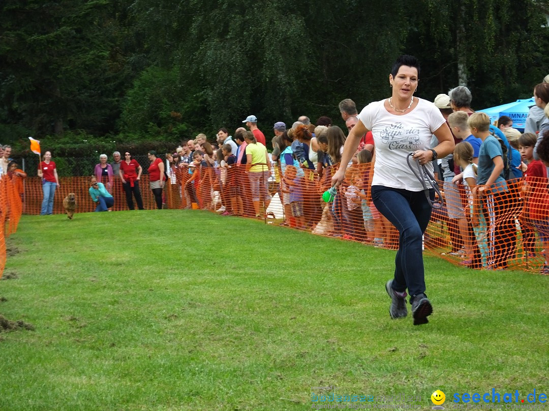 Struppirennen im Tierschutzverein: Bad-Saulgau, 04.09.2016