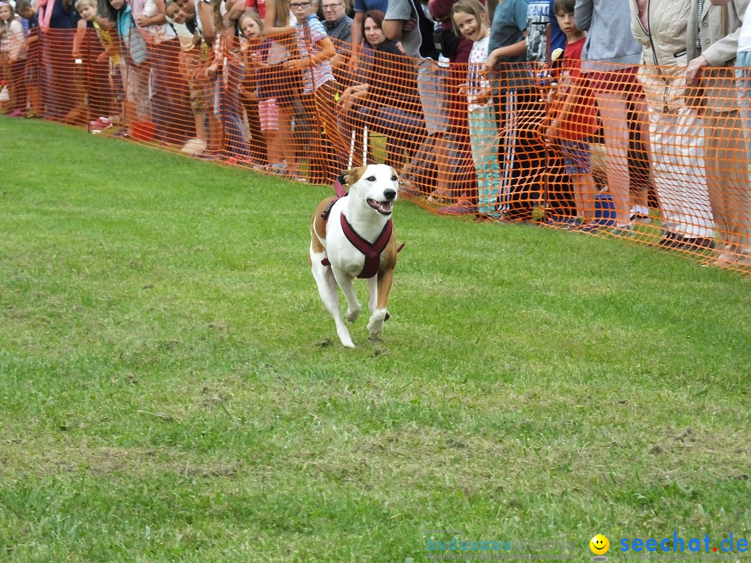 Struppirennen im Tierschutzverein: Bad-Saulgau, 04.09.2016