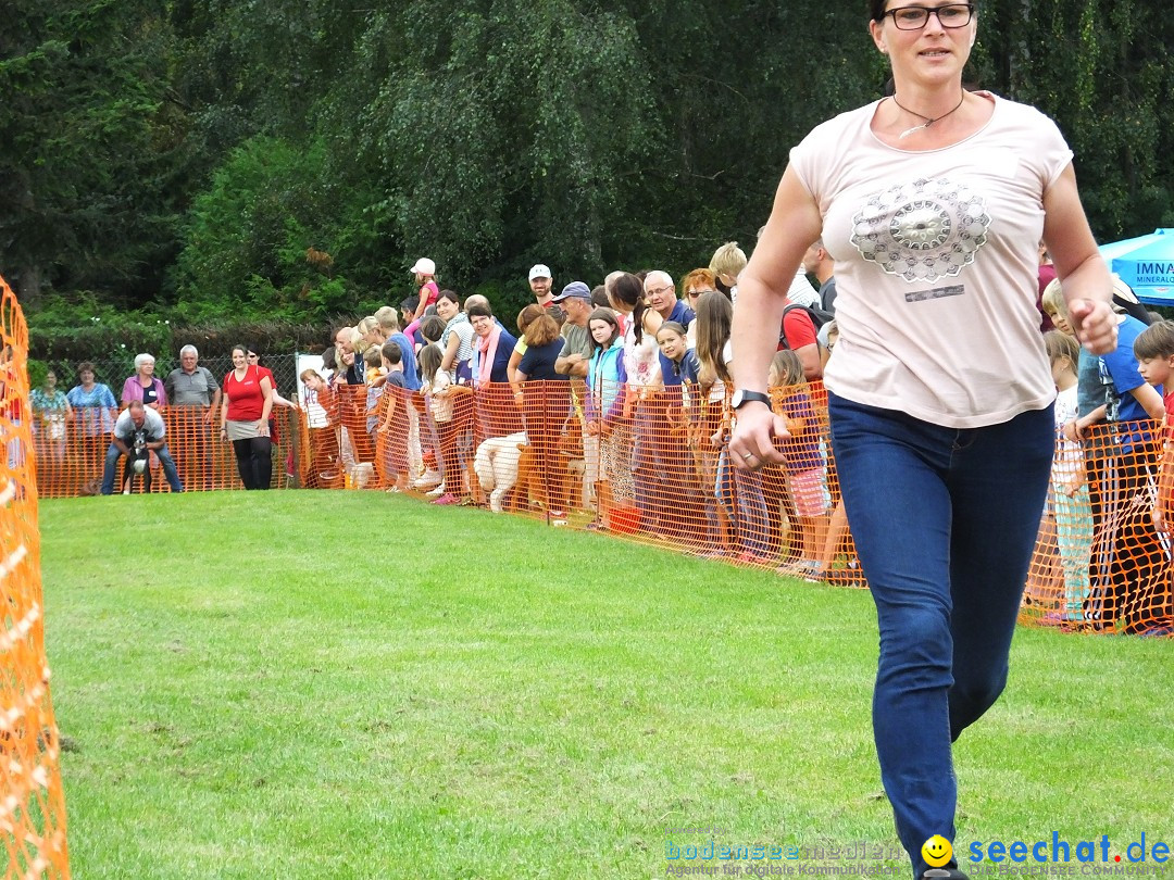 Struppirennen im Tierschutzverein: Bad-Saulgau, 04.09.2016