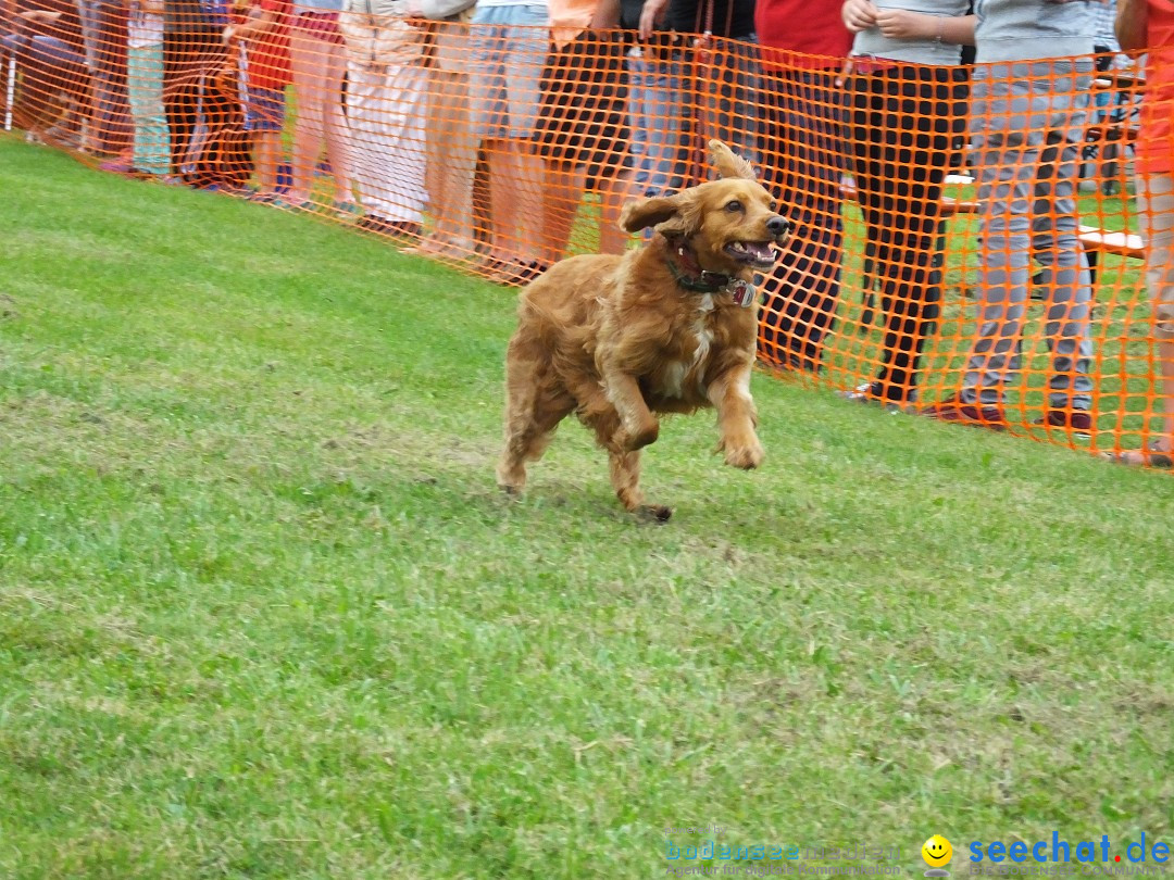 Struppirennen im Tierschutzverein: Bad-Saulgau, 04.09.2016