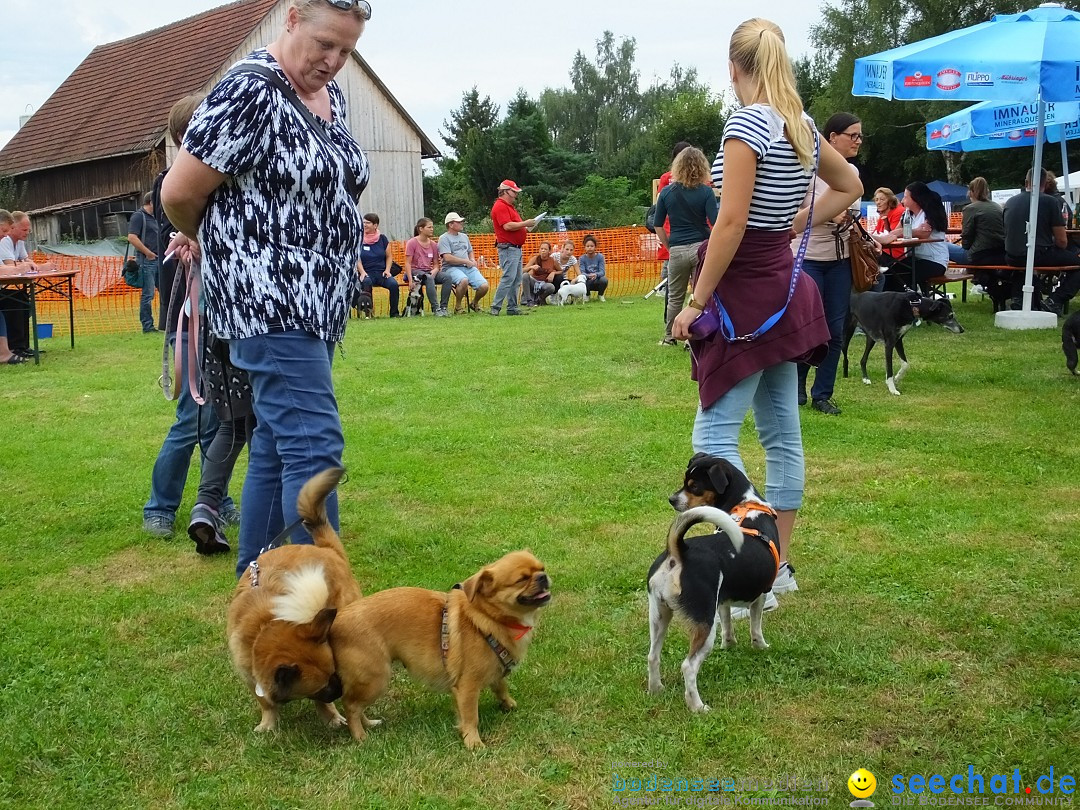 Struppirennen im Tierschutzverein: Bad-Saulgau, 04.09.2016