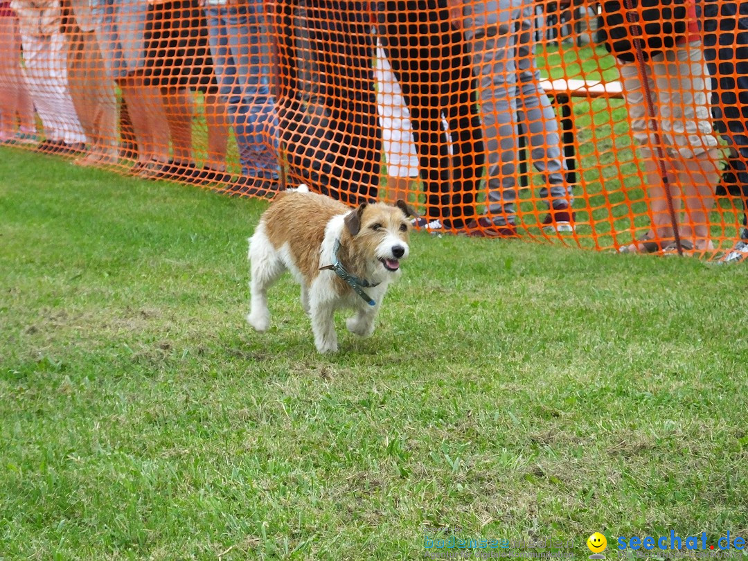 Struppirennen im Tierschutzverein: Bad-Saulgau, 04.09.2016