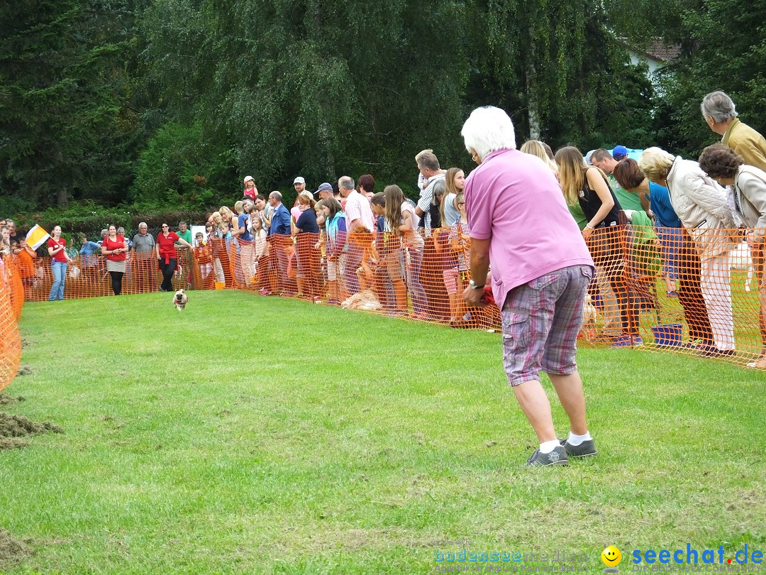 Struppirennen im Tierschutzverein: Bad-Saulgau, 04.09.2016