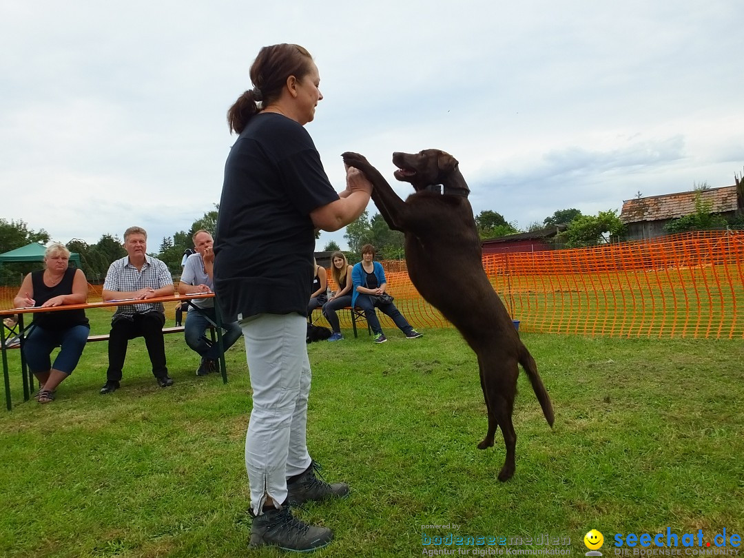 Struppirennen im Tierschutzverein: Bad-Saulgau, 04.09.2016