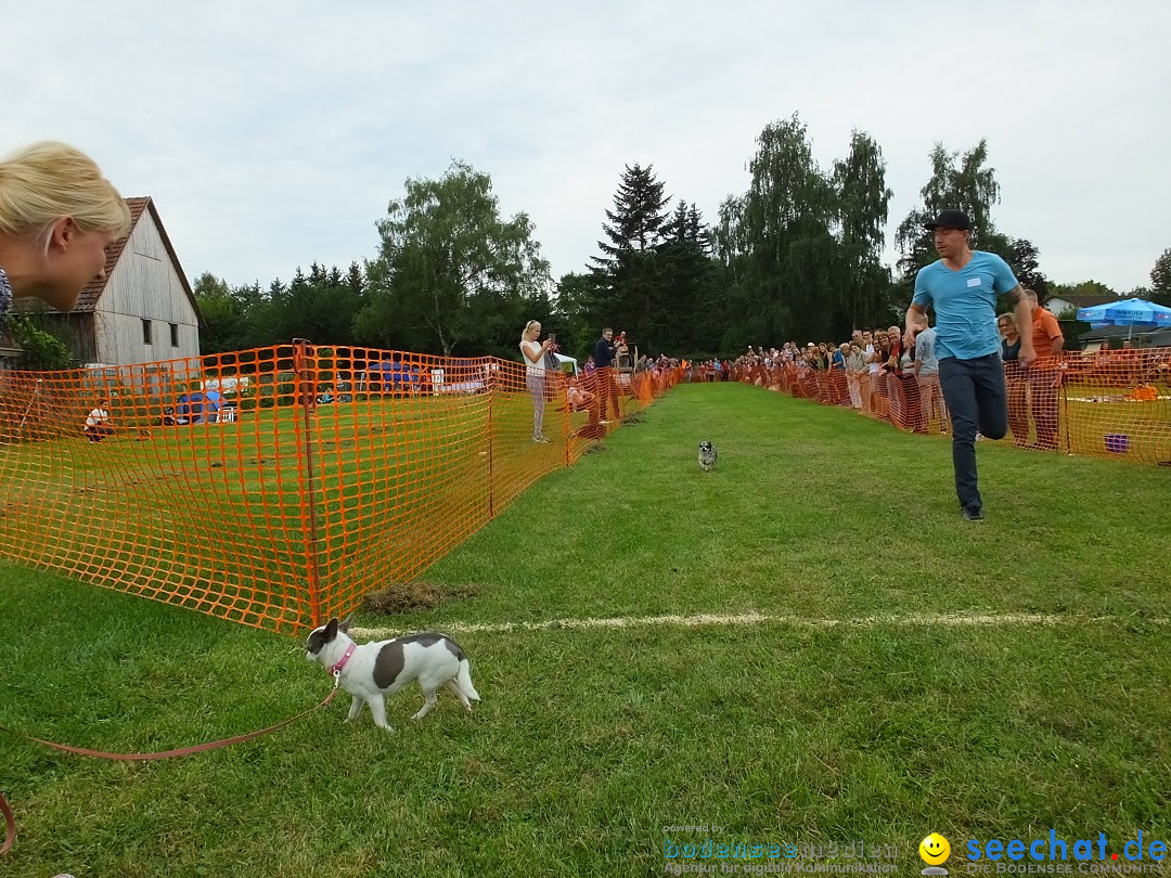 Struppirennen im Tierschutzverein: Bad-Saulgau, 04.09.2016