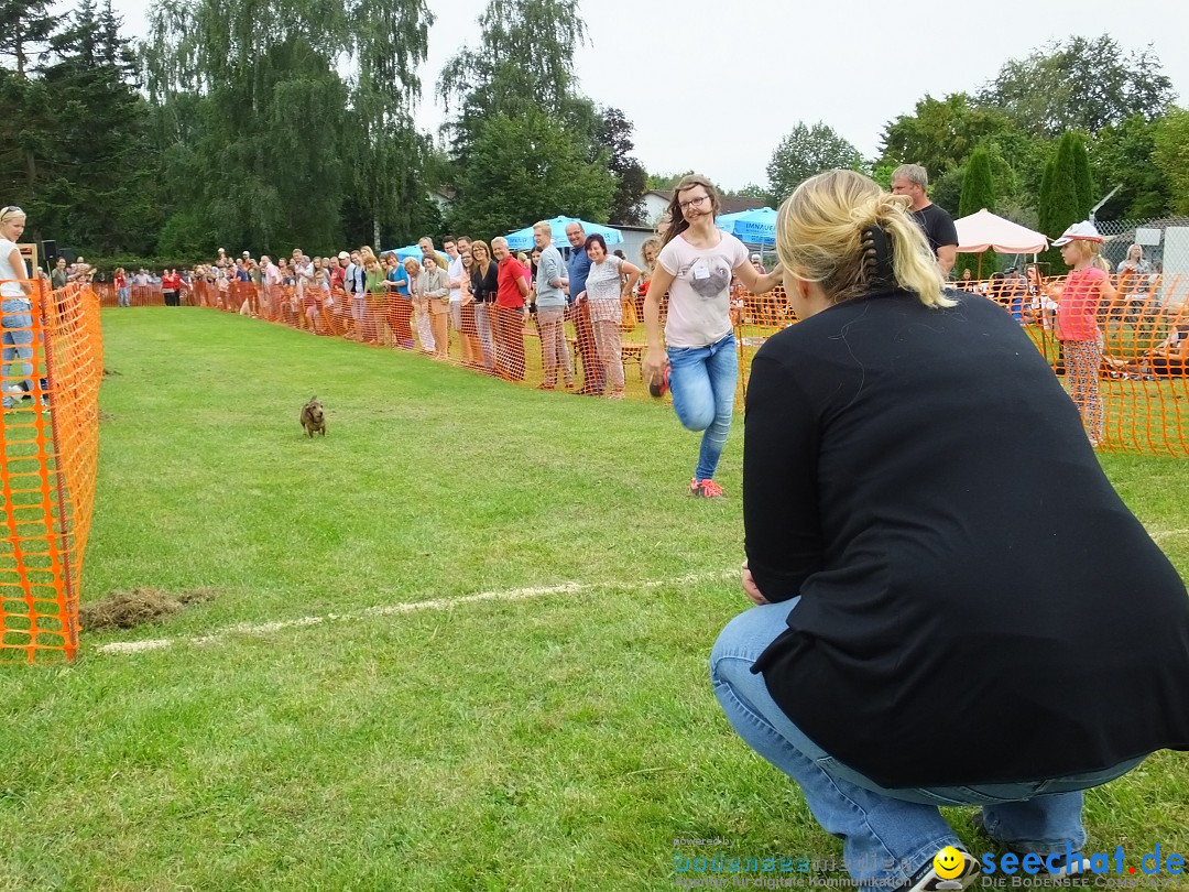 Struppirennen im Tierschutzverein: Bad-Saulgau, 04.09.2016