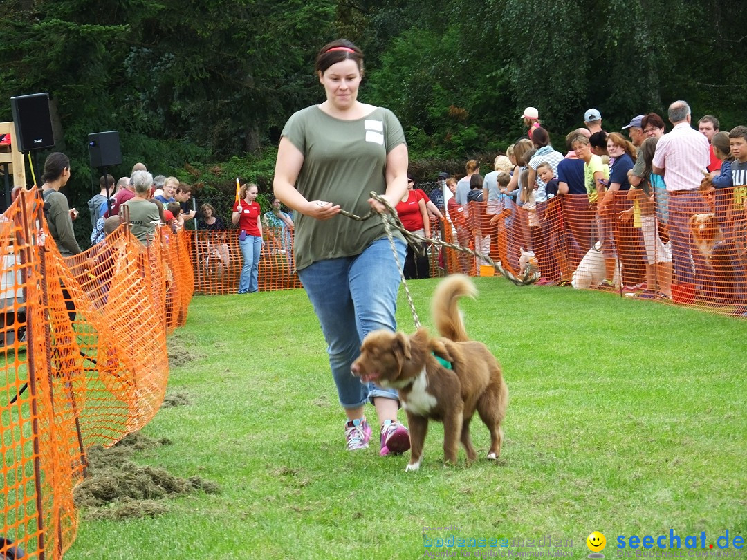 Struppirennen im Tierschutzverein: Bad-Saulgau, 04.09.2016