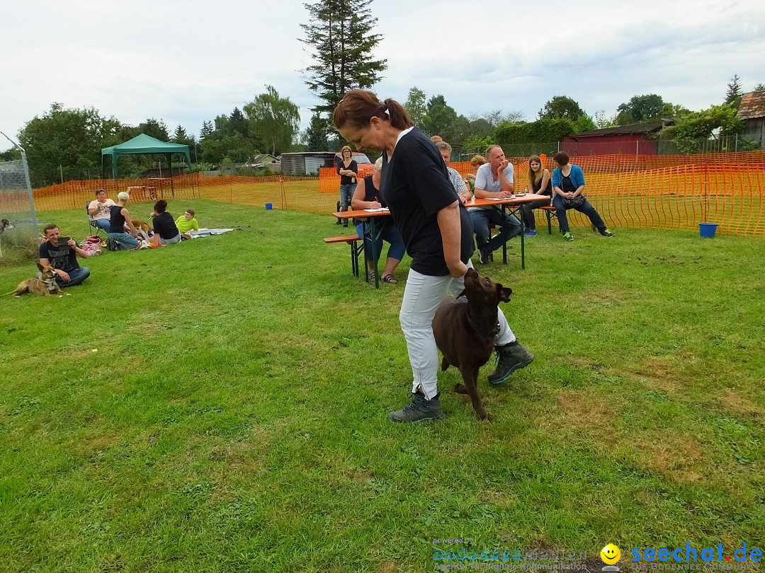 Struppirennen im Tierschutzverein: Bad-Saulgau, 04.09.2016