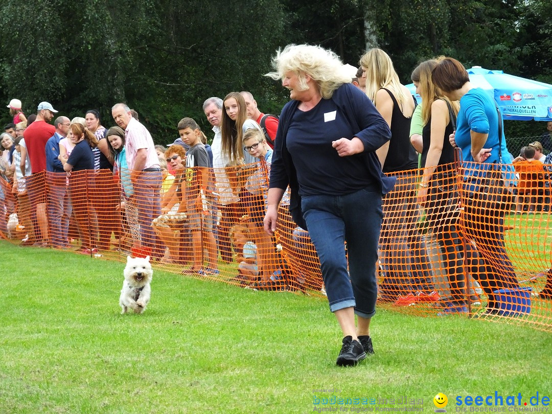 Struppirennen im Tierschutzverein: Bad-Saulgau, 04.09.2016