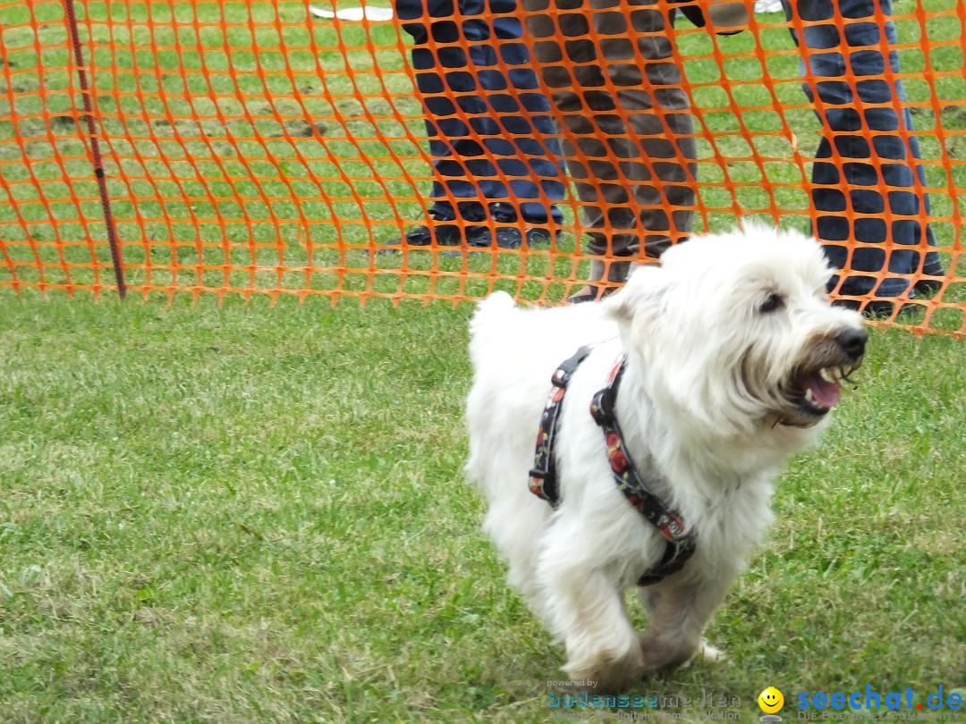 Struppirennen im Tierschutzverein: Bad-Saulgau, 04.09.2016