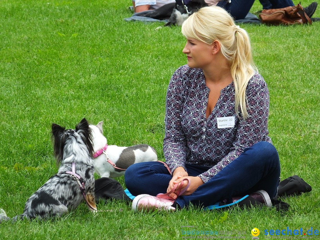 Struppirennen im Tierschutzverein: Bad-Saulgau, 04.09.2016