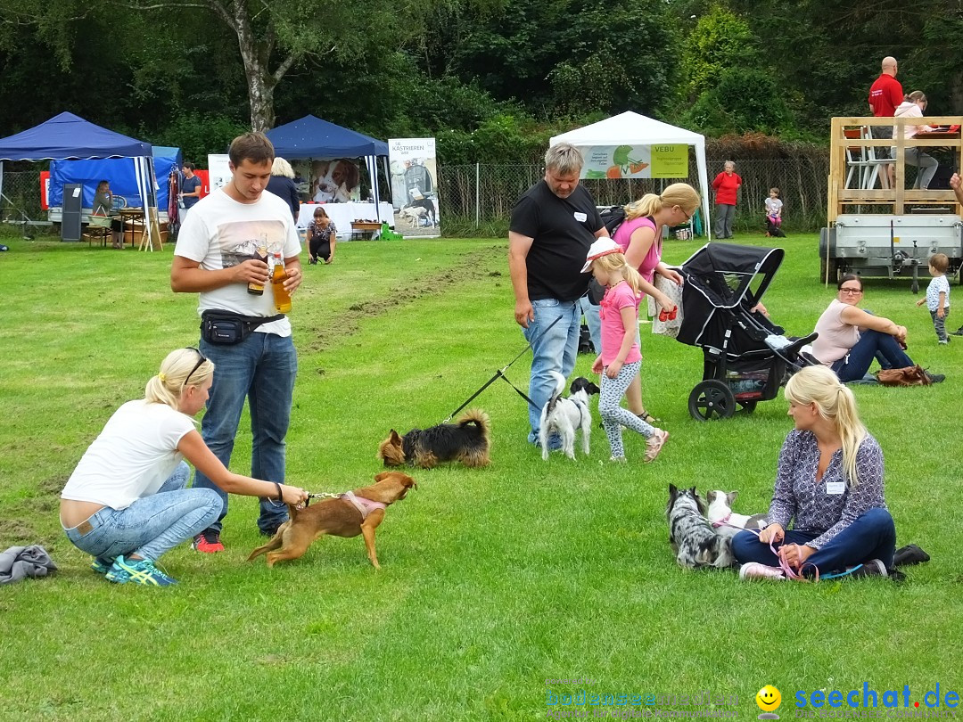 Struppirennen im Tierschutzverein: Bad-Saulgau, 04.09.2016