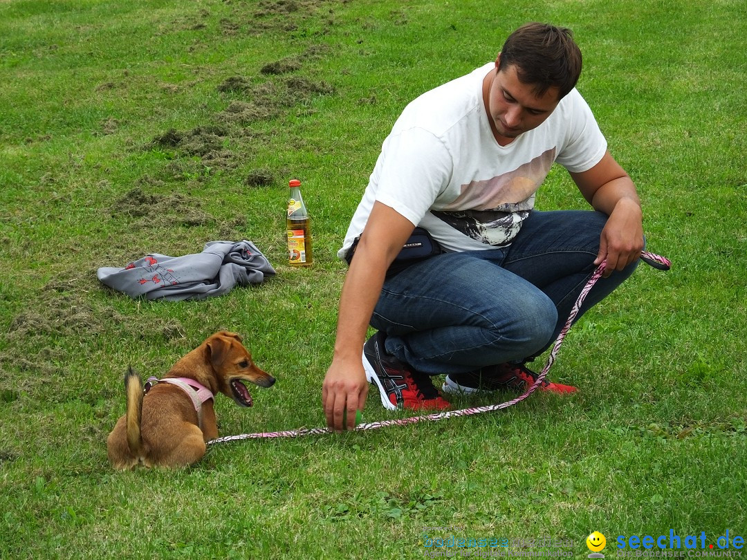 Struppirennen im Tierschutzverein: Bad-Saulgau, 04.09.2016