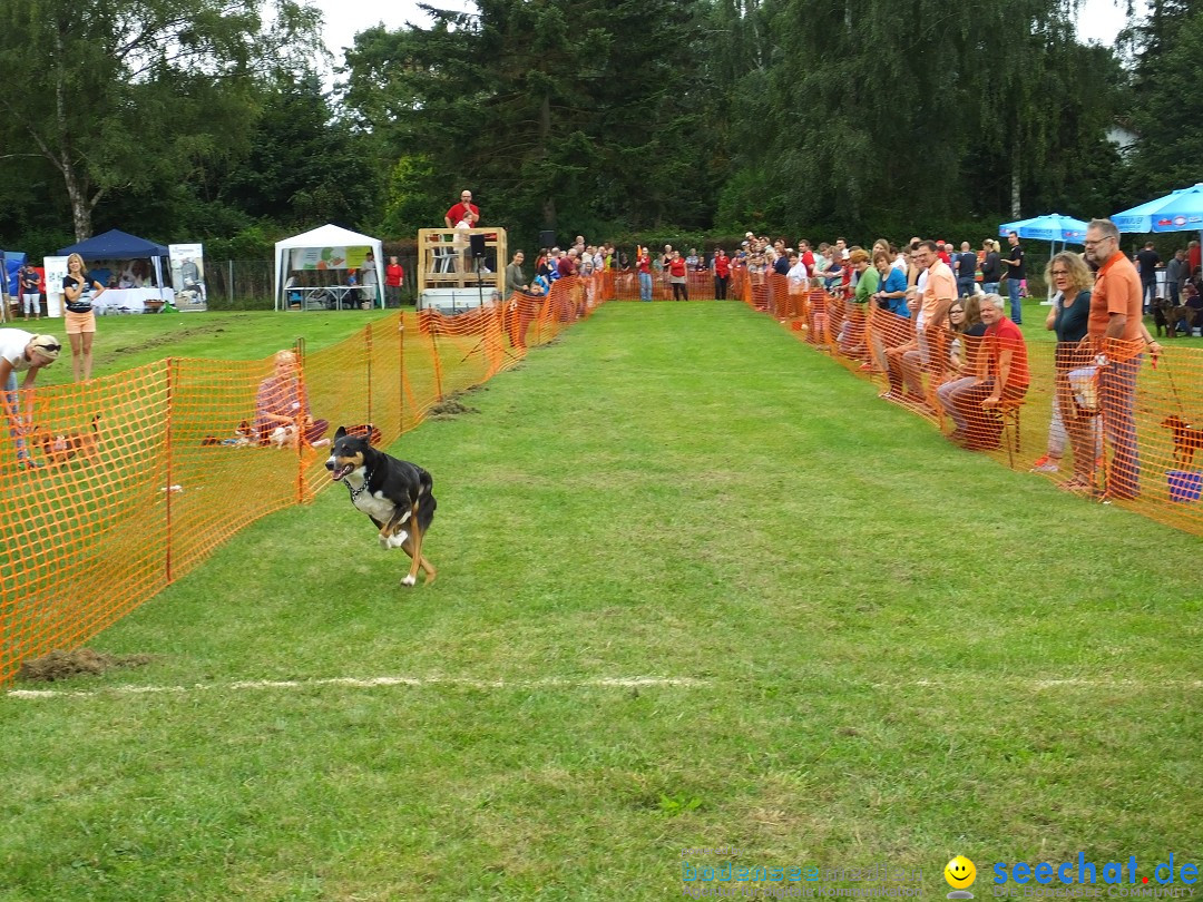 Struppirennen im Tierschutzverein: Bad-Saulgau, 04.09.2016